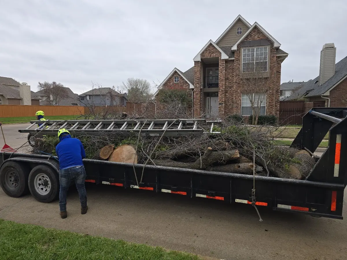 Expert Tree Pest Control with proper safety equipment in Kimbolton